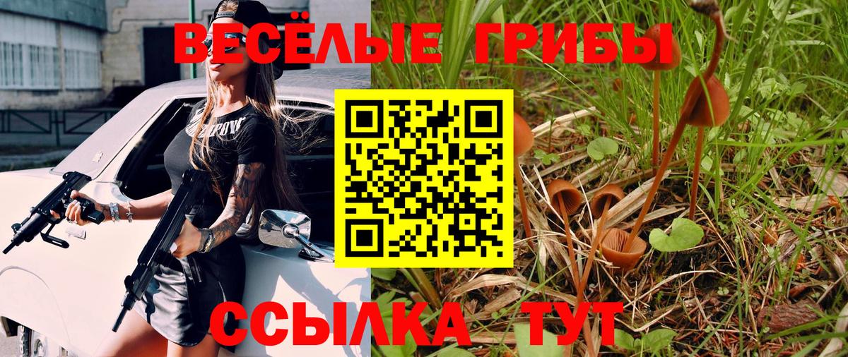 Тайшет  Галлюциногенные грибы прущие грибы  Вход с VPN 