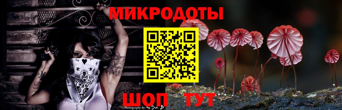 Псилоцибиновые грибы мицелий Тайшет